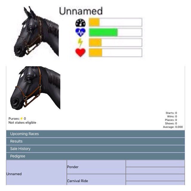 Duplisea's tweet photo. @AndPacing The 1st foal from #Ponder🐴. He's now publicly listed on the #OffAndPacing🏁 stallion board! Look forward 2 following his babies❤️ https://t.co/VCSilt7TH4