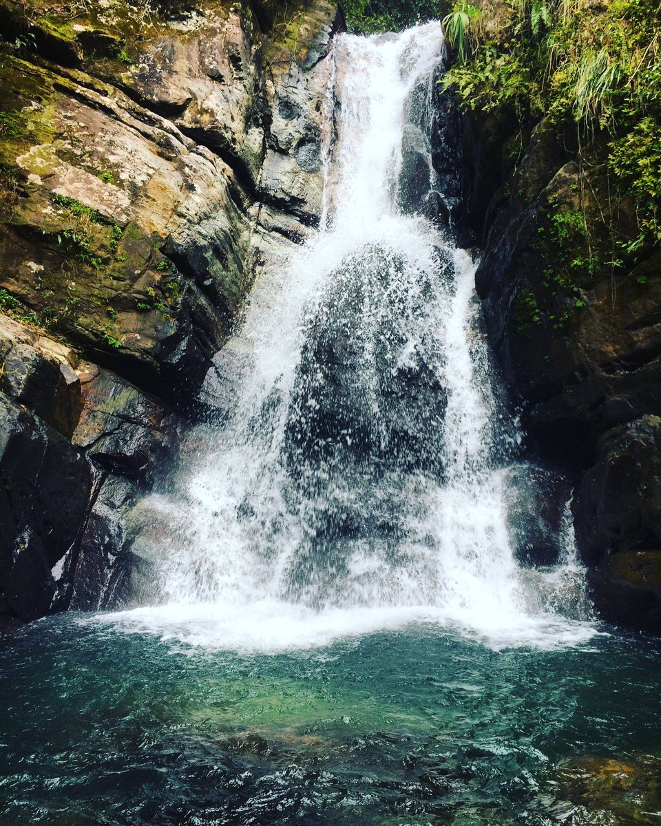 chatere's tweet image. One of the most wonderful natural resources in Puerto Rico #ElYunque Rainforest #dayout #classresearch  #professor @ElYunqueNF