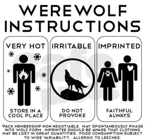 WolfBoyJ's tweet photo. #Nods :) #Werewolf101 https://t.co/Wm9aAqRcUG