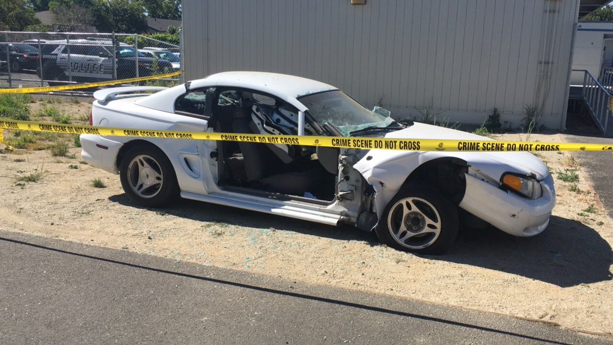 PSA CCT (@psaclub_cc) on Twitter photo 