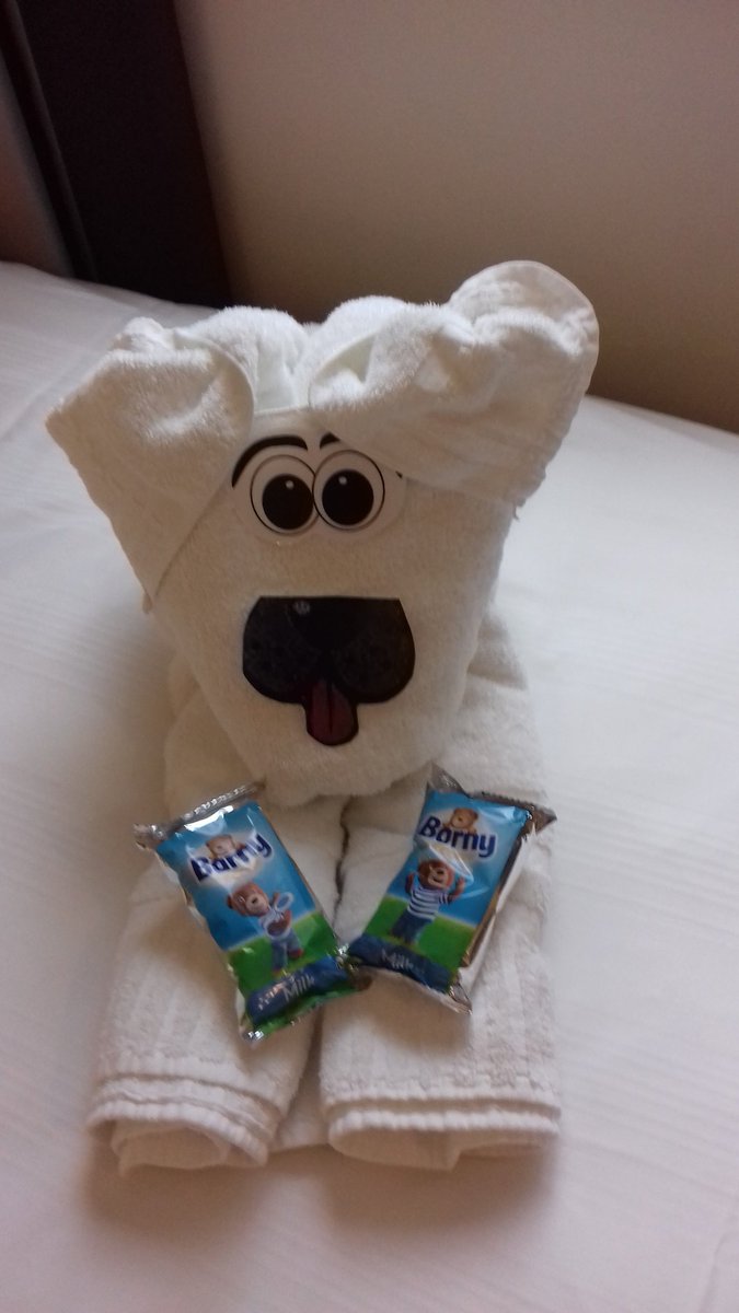 Hope the lucky guest like their treat I have left in their room