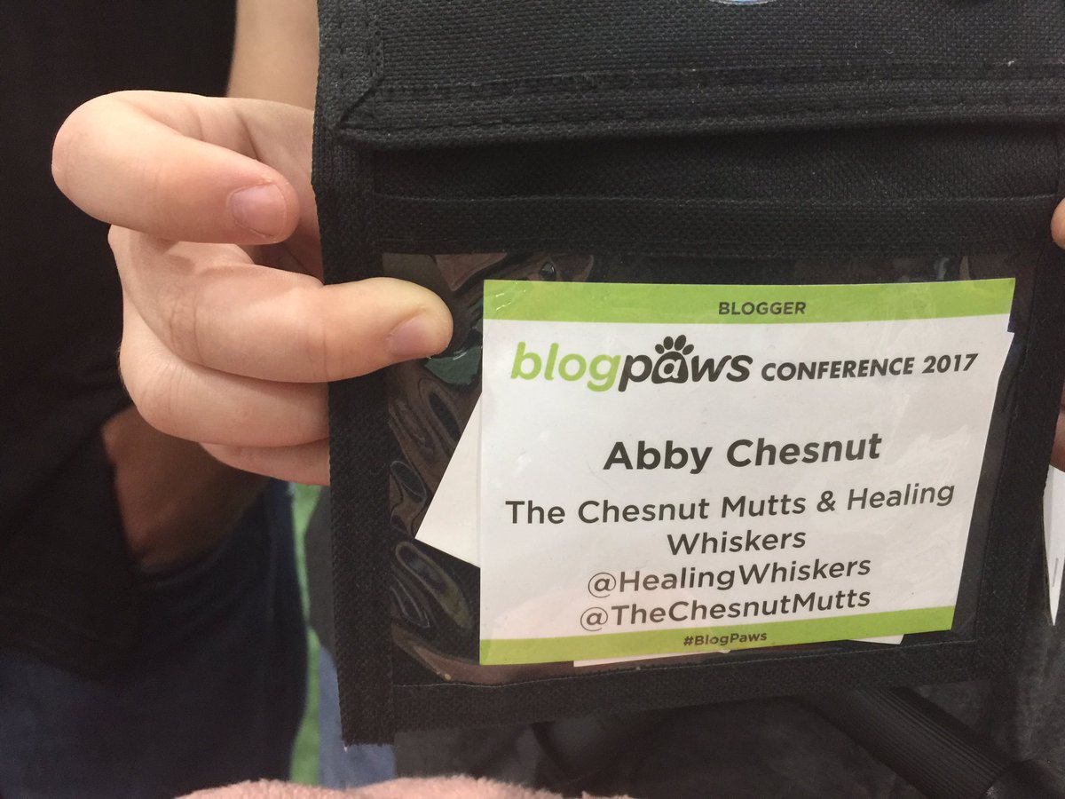 FreeRaisedPets's tweet image. #BlogPaws - I learned rats are not scary