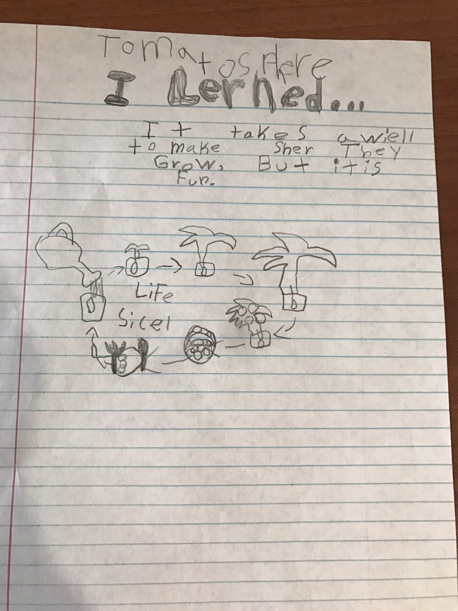 mrsdebertin's tweet photo. Reflections on @Tomatosphere experiment & project. #Grade2scientists @LetsTalkScience @csa_asc 🌱🍅🔬🔍 https://t.co/ZIyoRFItIj