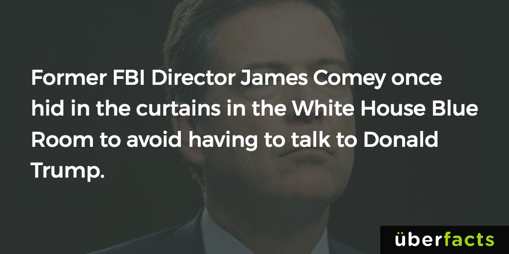 This is the best thing I've read all day.