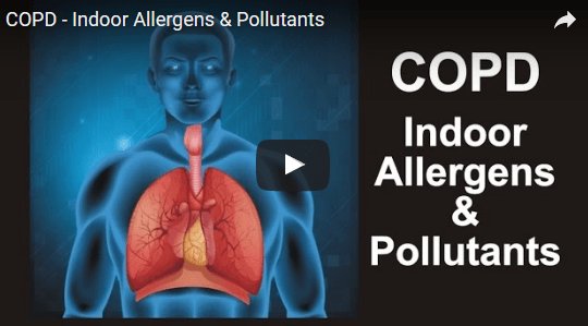 OlsonEnergyServ's tweet photo. How Indoor Air Quality Can Affect COPD https://t.co/AssUeMLqJs https://t.co/p9YDp8ViwN