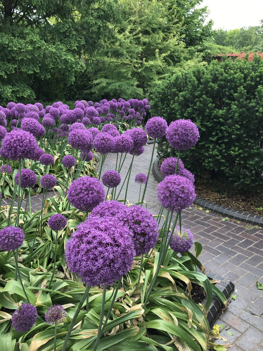 MrsReed4th's tweet photo. Fourth grade had so much fun on our field trip to The Botanical Garden today! https://t.co/4EwVulXU0A