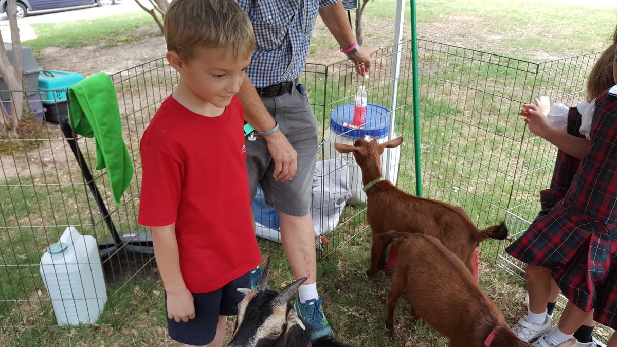 Desiree Gibson tweet media