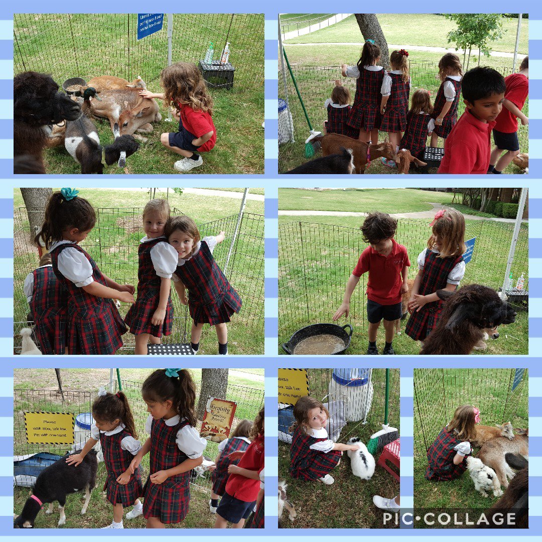 Desiree Gibson tweet media