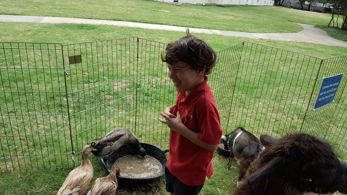 Desiree Gibson tweet media