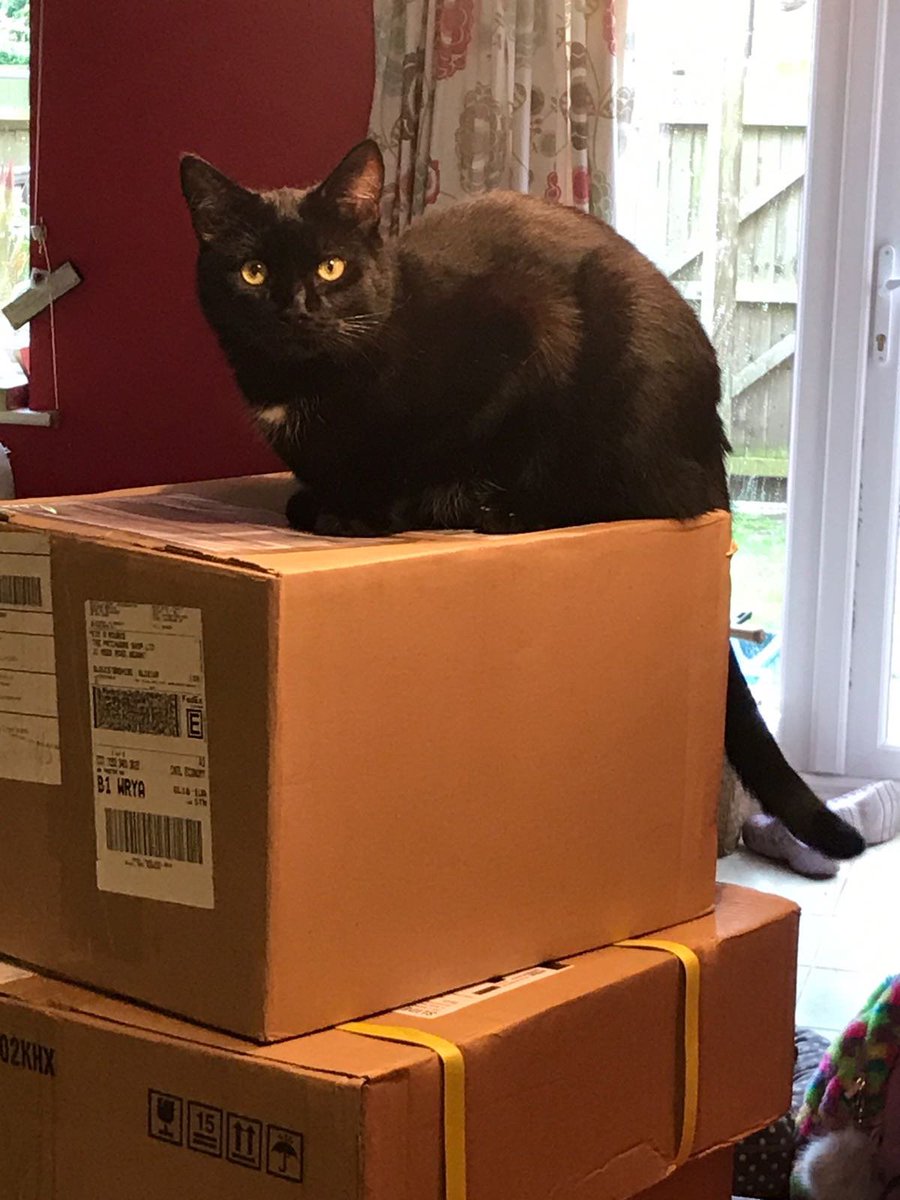 patchworkshopuk's tweet image. Just what every till needs! 😊 Just need to learn how to use it now, apt for #nationallearningatworkweek! #apassionforpatchwork #ShopLocal