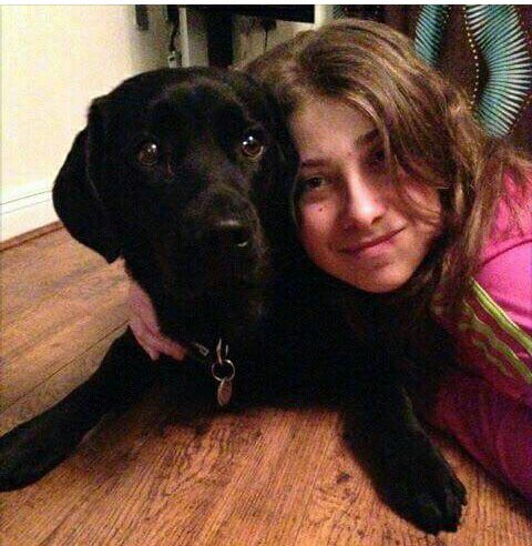 rosiedoc666's tweet photo. @millypod1 @FindOurPup @LisaLisaw1 #missingdog #assistancedog VELVET black #labrador between #EllandBridge & #Brighouse west #yorkshire ππ https://t.co/UllHRERp3h