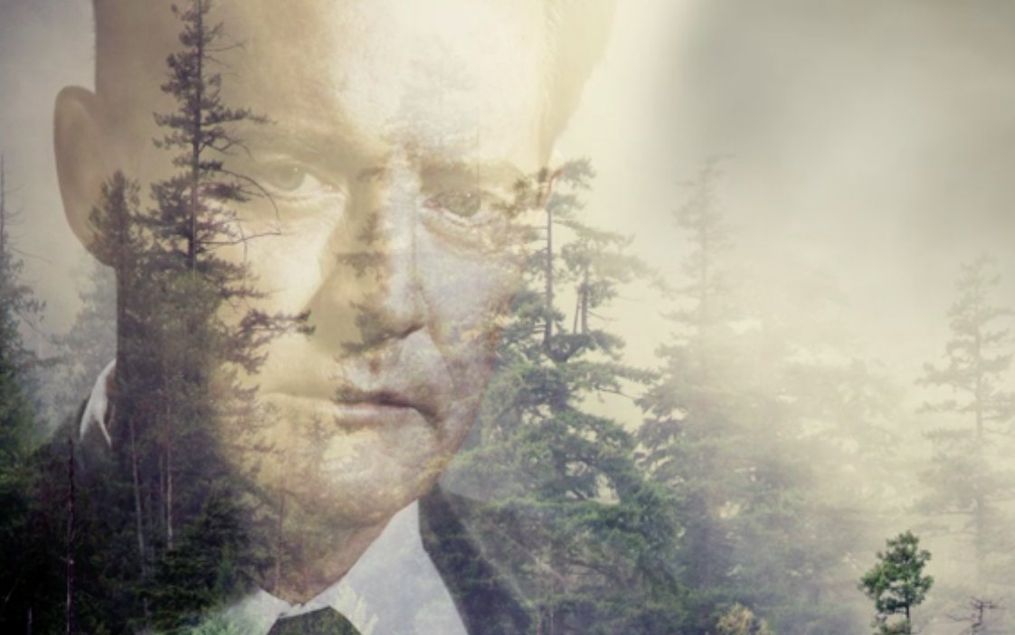 Dot Live tweet media