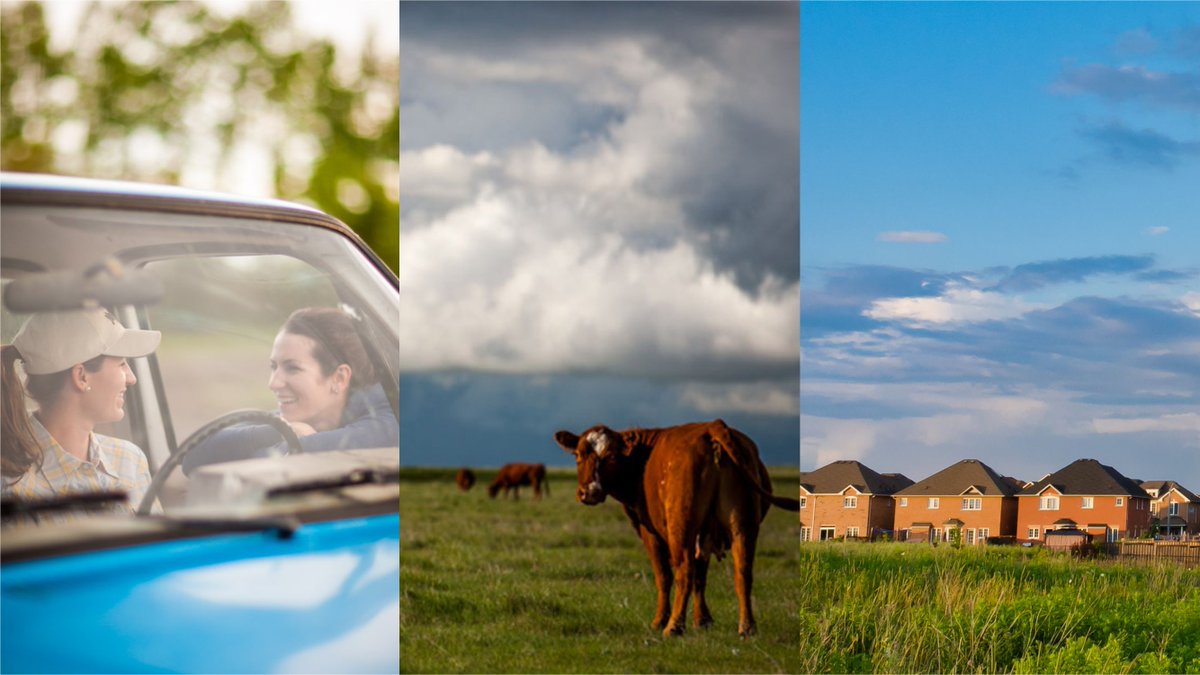 FCCagriculture's tweet photo. Census of #Cdnag: More young farmers; number of farms with beef cattle declining; farmland losses slowing down https://t.co/lgdl8zM7oa https://t.co/lm0u5rU6tD