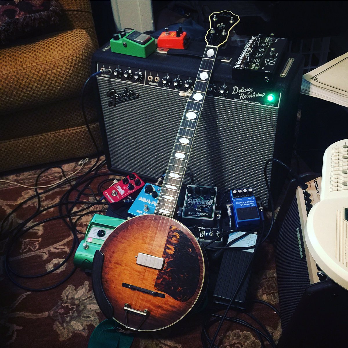 ⚡️I sing the banjo electric⚡️ #gear #banjo #rig #pedals #amp #custom #luthier #newvintage #psychedelic #dreamfolk #birthday #eaglehaslanded