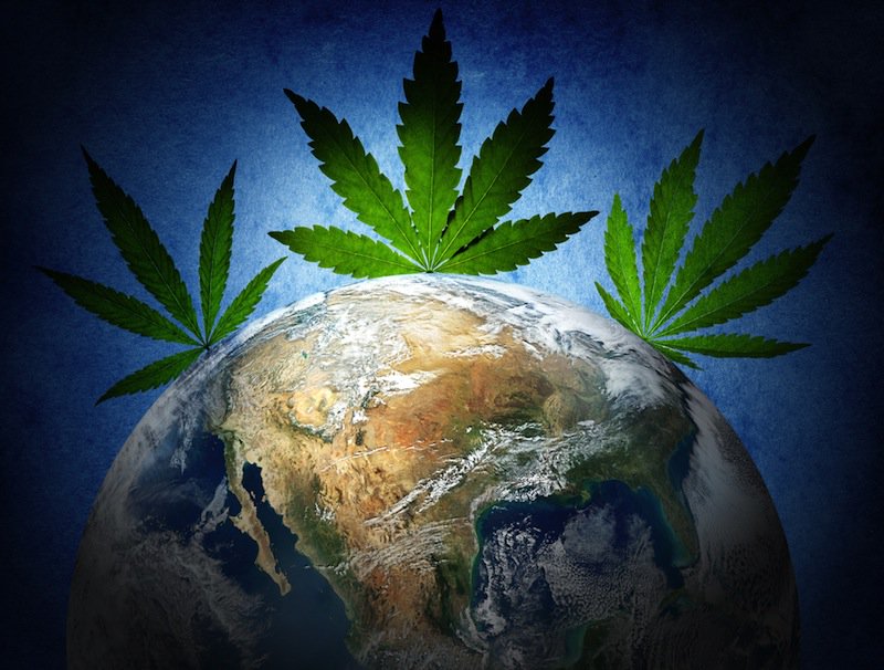 HIGH_TIMES_Mag's tweet photo. Can't We All Just Get a Bong? Take a Peek At 5 Countries Rethinking Their Policies on Pot Prohibition. https://t.co/Pzjq3L9CQo https://t.co/F7D8hKQlfa