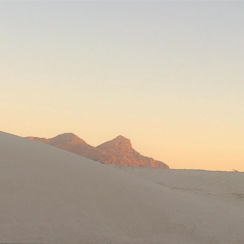 Edward Peinke tweet media