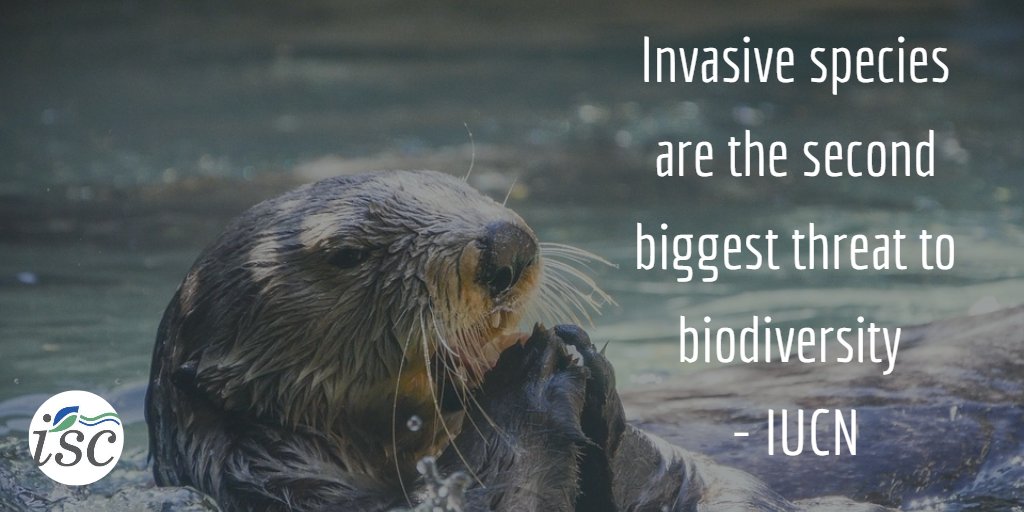 Invasive Species BC tweet media