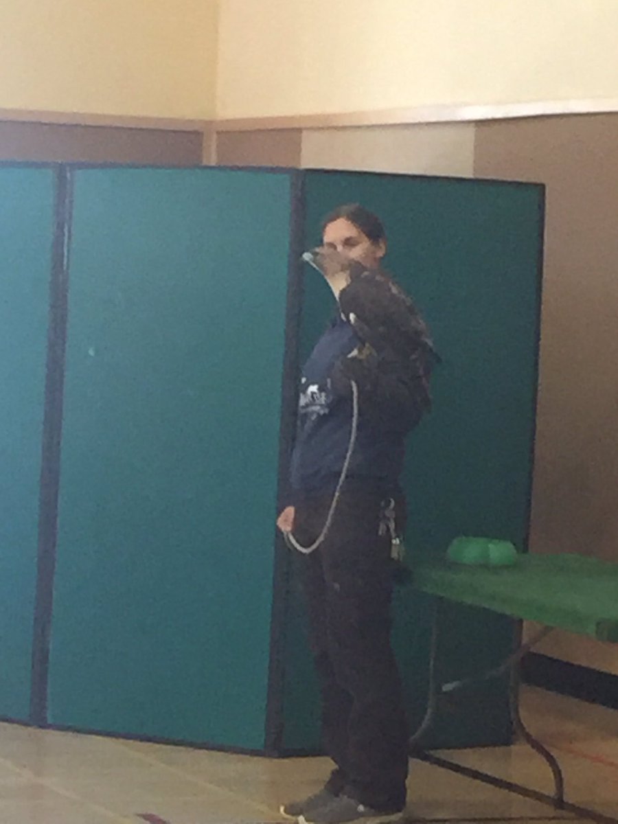 shesroom19's tweet image. @wildlifeassoc - thanks for visiting @SHESdragons! Ss always ❤️your program. #learnaboutanimals #KidsDeserveIt @sthusd