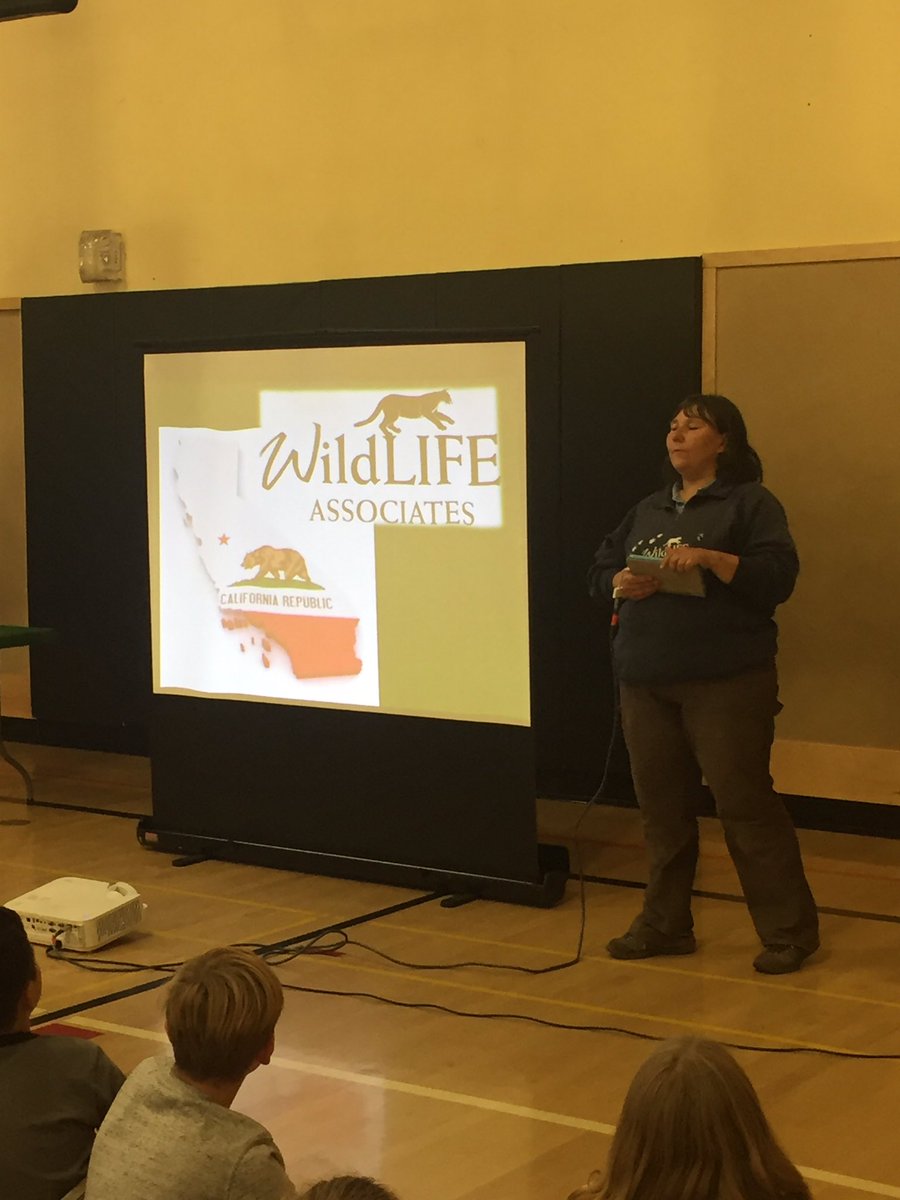 shesroom19's tweet image. @wildlifeassoc - thanks for visiting @SHESdragons! Ss always ❤️your program. #learnaboutanimals #KidsDeserveIt @sthusd