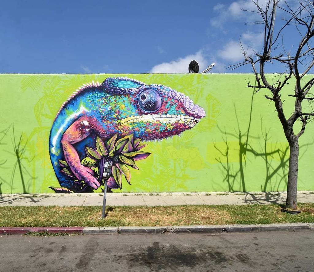 D7606ART's tweet photo. Work by @Djn3ff ● Los Angeles, USA
.
.
#djneff #lastreetart #streetartlosangeles #losangelesstreetart  #artlovers #streetartlovers  #street… https://t.co/UPbzQqmJLI