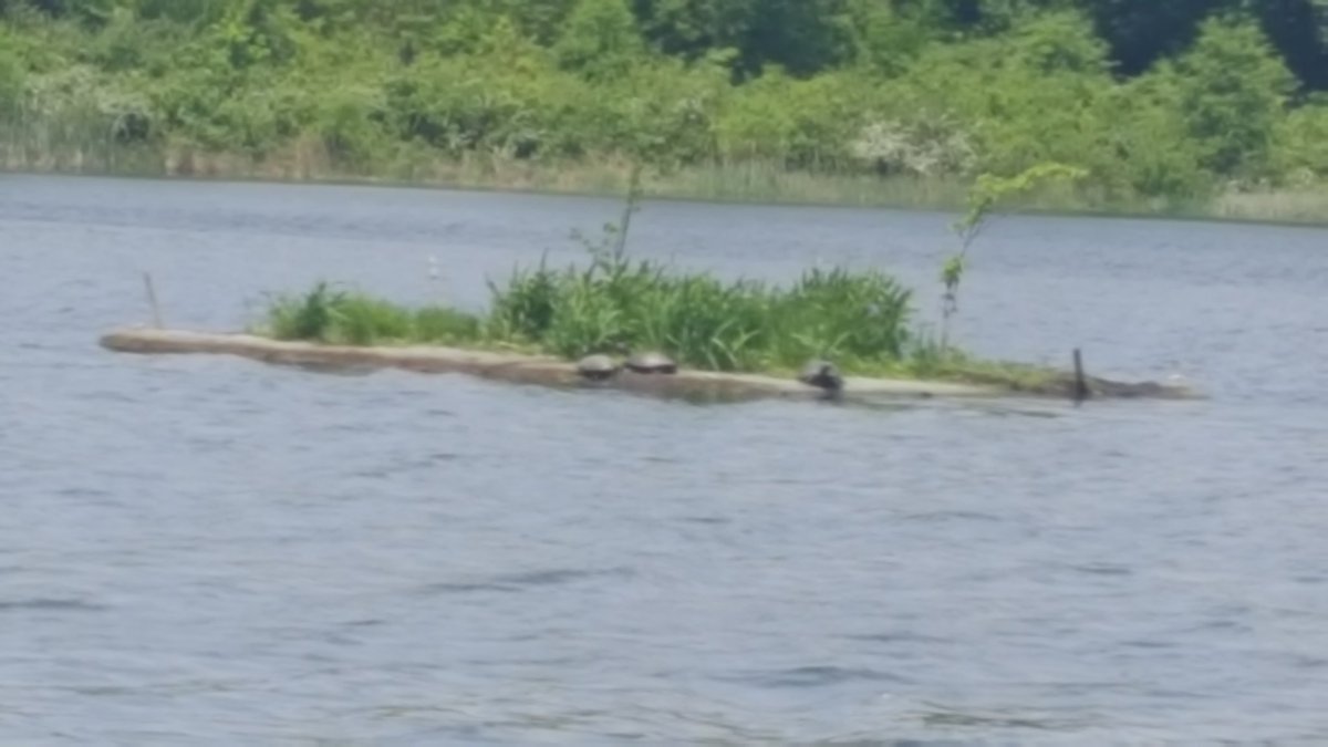 michael rabel (@mbrabel) | Twitter