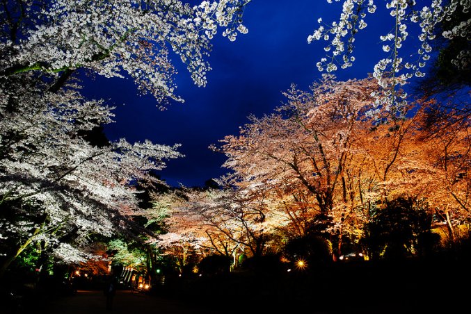 Mii-dera Temple | by M.Y.Chien on Flickr