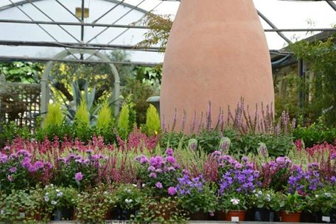 ChelseaGardenSW's tweet photo. Outdoor plants! Come take a look this weekend! Were open on Saturday 10am til 6pm and Sunday from 12pm til 6pm! https://t.co/Vebs9cNtf2