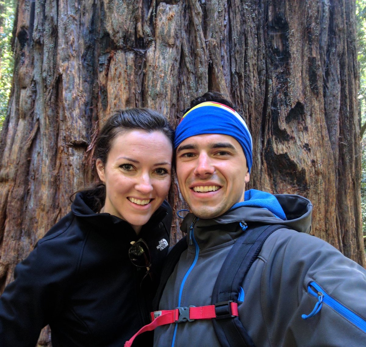 Alex Libin tweet media