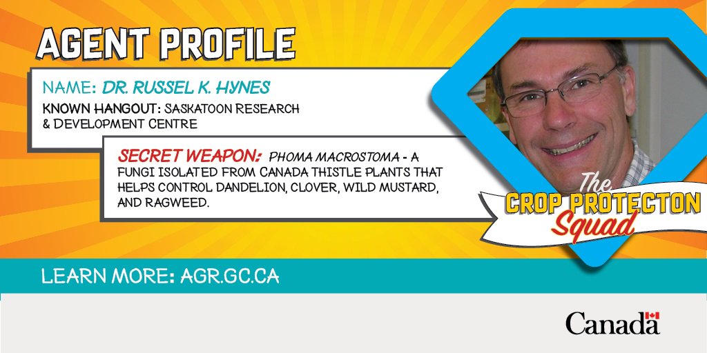 AAFC_Canada's tweet photo. This #AgAgent is sharing his secret weapon against broadleaf weeds β including #dandelion and #CanadaThistle! https://t.co/m9iXdgjuwz https://t.co/oQS4yrkCkg