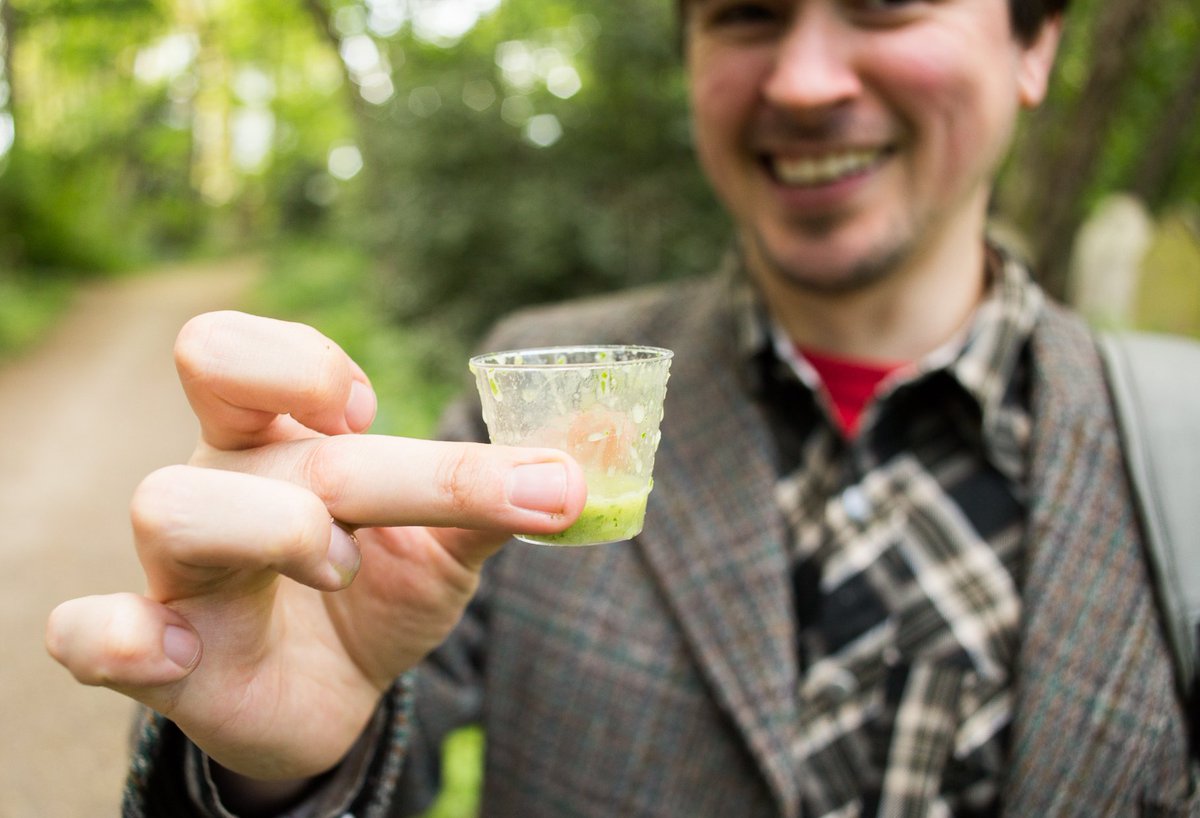 FoTHCP's tweet photo. Ever made a wild green #smoothie ? learn how here https://t.co/CjjIuvunET #foraging #wildfood #foreverforaging #sustainableforaging https://t.co/V7UwQwFfER