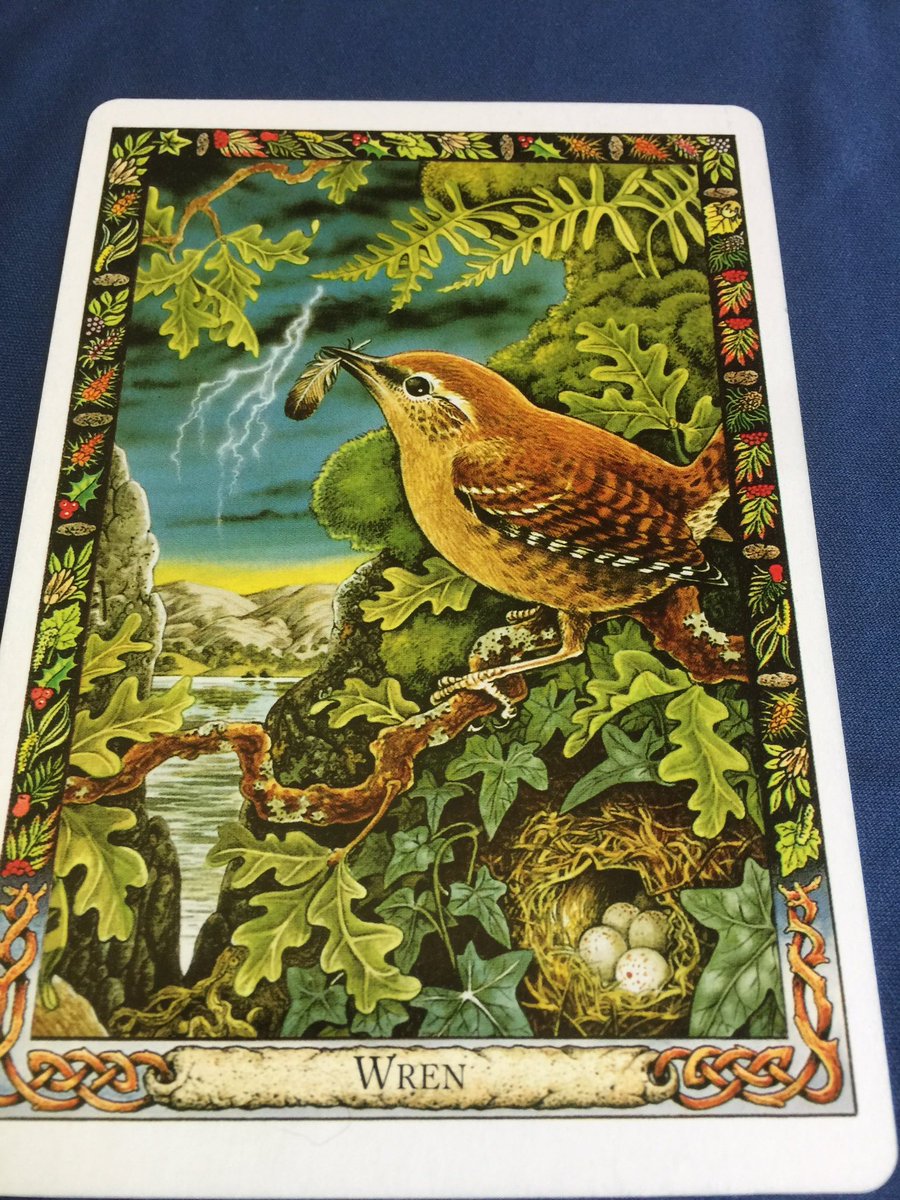 GhostQueenPara's tweet image. #DruidAnimalOracle ~ Humility, Cunning, God