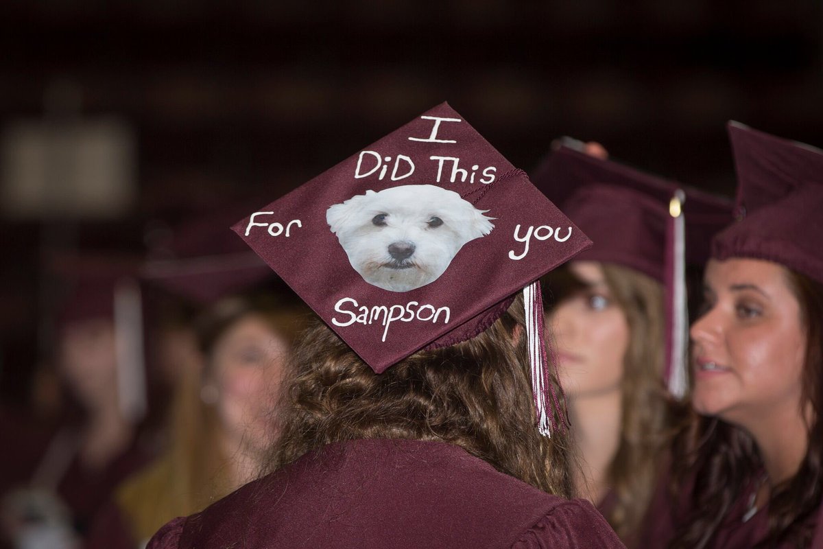 MissouriState's tweet image. Warning: Mortarboards may cause feelings of awesomeness. #BearGrads