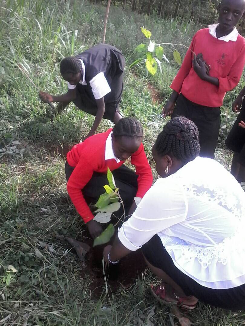 maradange's tweet photo. Tree planting day with nthembo primary school in #embu #kenya with @eco_act & @livelih00ds | #climatechange #hifadhi #climatepal https://t.co/ngSsJDX8Fi