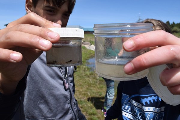 Our spring education sessions are underway! From Petoskey to Sault St. Marie, we're getting students outside and involved with nature