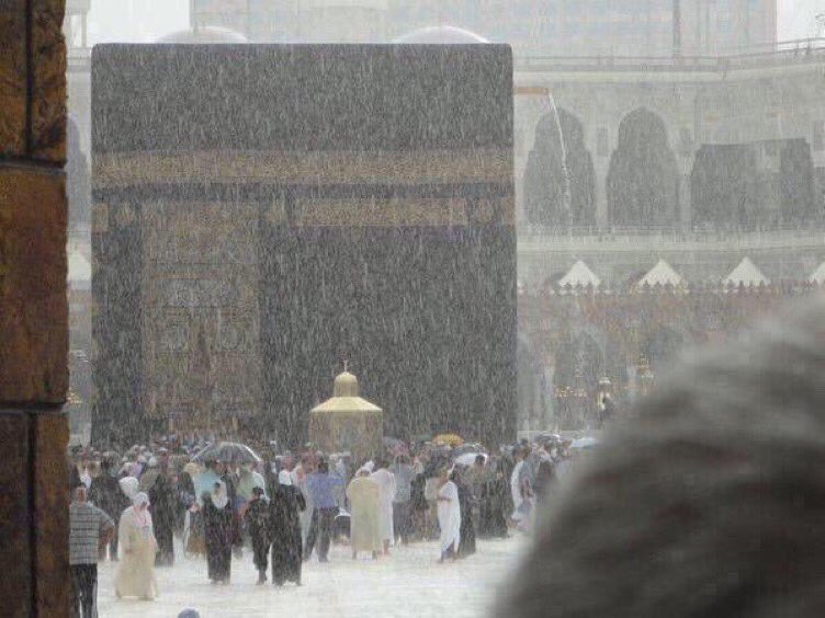 brqfxx's tweet photo. اللهم ارزقنا هذا الشُعور ❤️ : https://t.co/I6VtamKdQ8