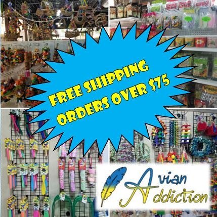 AvianAddiction tweet picture