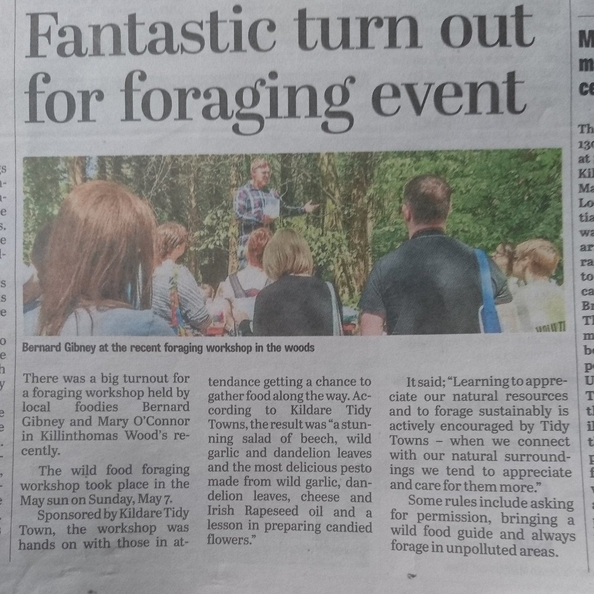 GibneyPreserves's tweet photo. Great day had by all, next one in the next 4 weeks when it will be all about Elderflower,#sustainableforaging #ifyouwentdowntothewoodstoday https://t.co/oI3WQu7O45