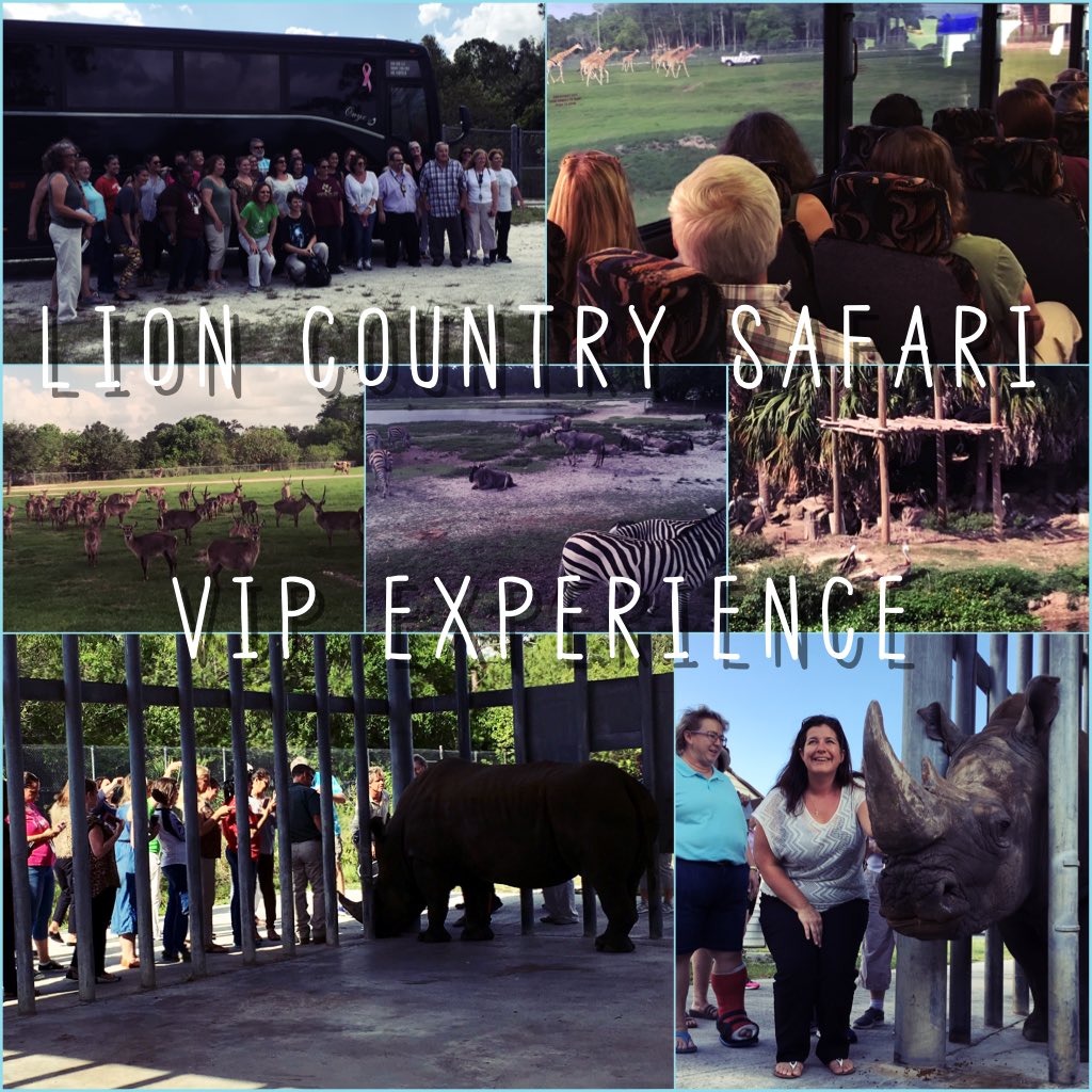 Dr_ALaing's tweet image. Thank you @LionCountry &amp;amp; @BusOneLLC for an amazing safari experience for our teachers! #FlashbackFriday