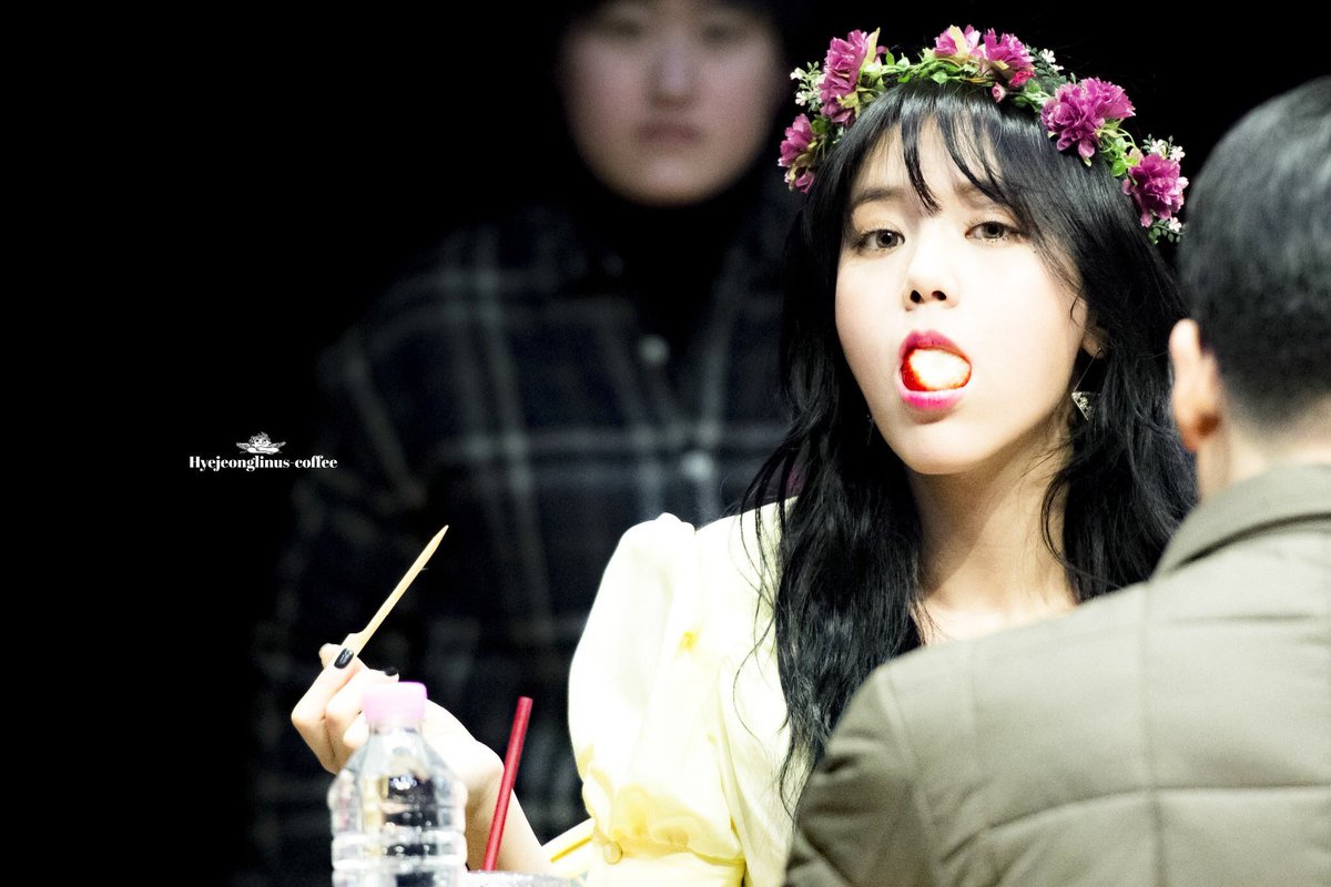 cutedongpics's tweet photo. she looks so squishy · 170120 https://t.co/hN1qqDKR9S