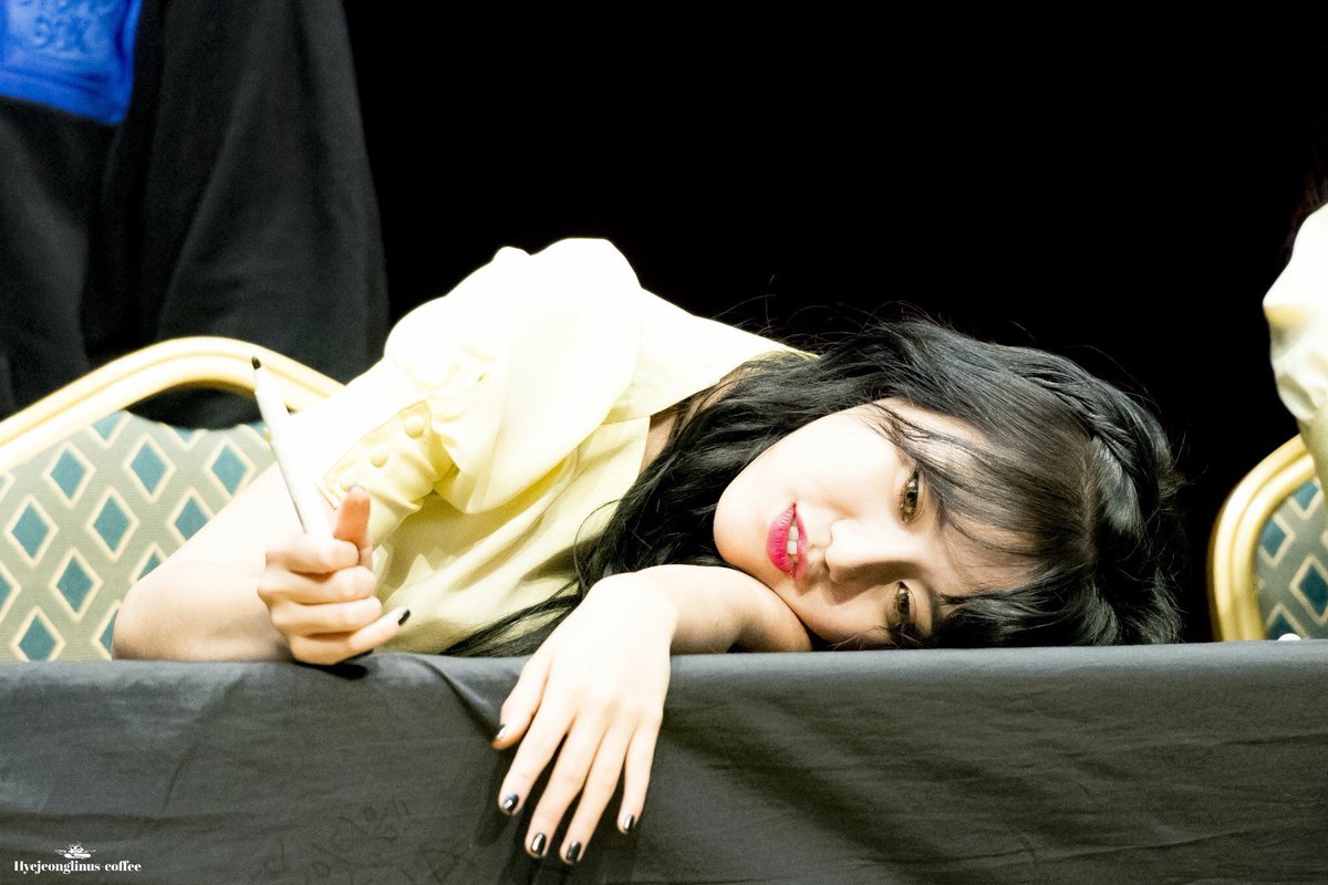 cutedongpics's tweet photo. she looks so squishy · 170120 https://t.co/hN1qqDKR9S