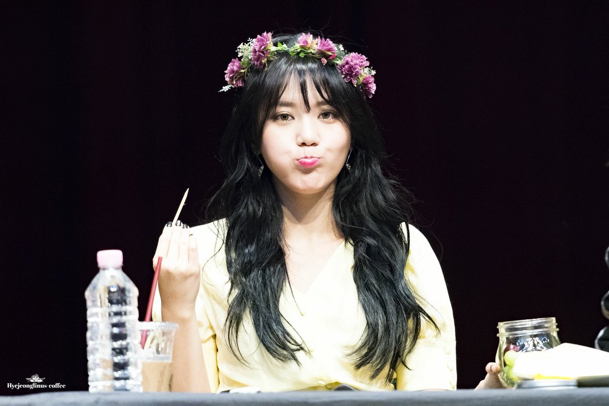 cutedongpics's tweet photo. she looks so squishy · 170120 https://t.co/hN1qqDKR9S