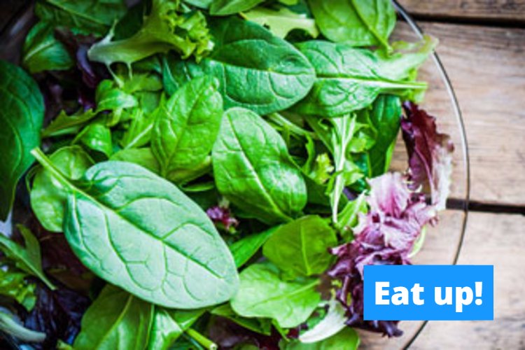 SVArlington's tweet photo. Did you know that kale, spinach, and Swiss chard are great for your eye health?  https://t.co/L83reldD9r https://t.co/36ozaV0dwg