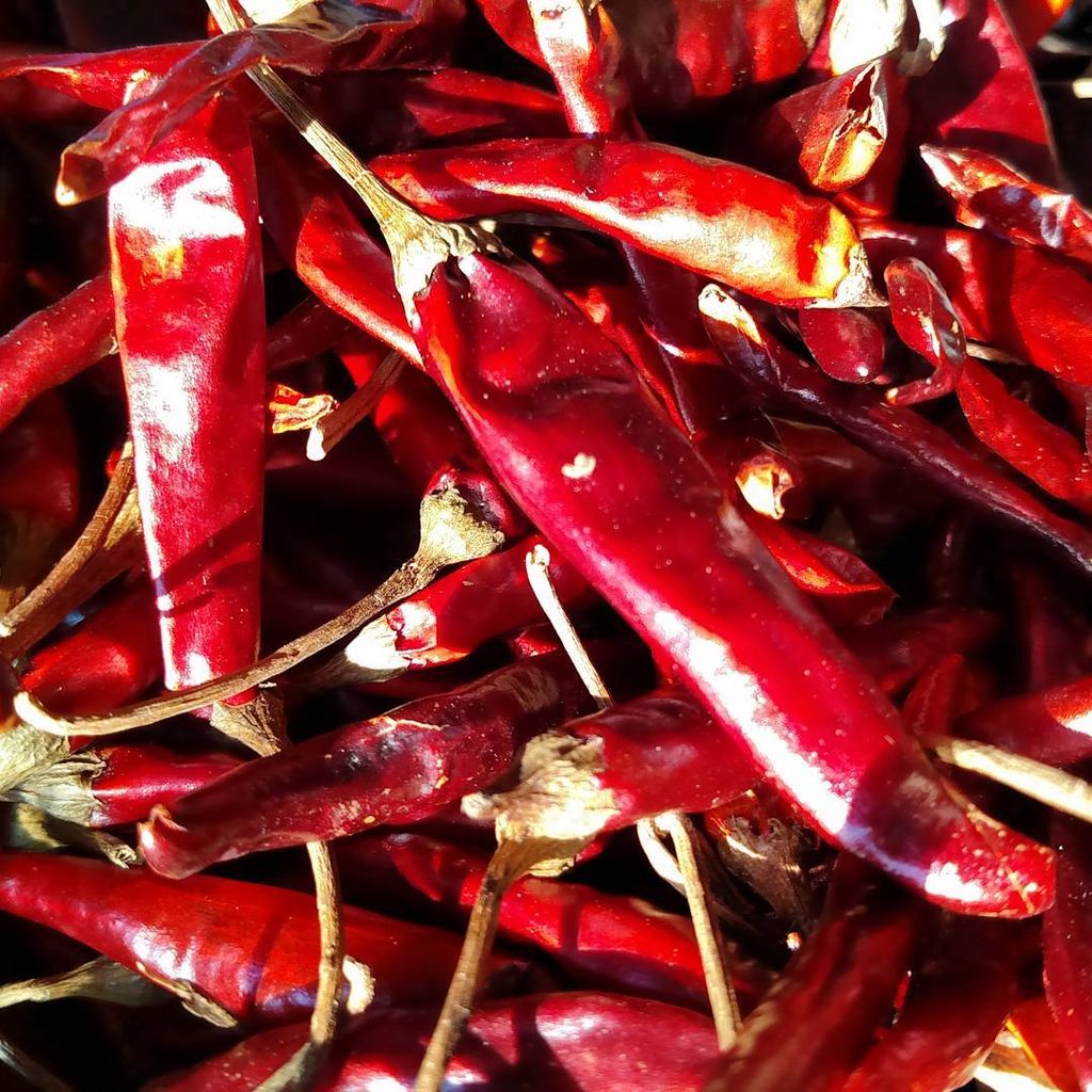 PortlandFLF's tweet photo. On June 22nd, @gryffonridge will be bringing the heat! (and the sweet, and the savory, and the salty...) #PortlandFLF #spicelocal https://t.co/3JKeT1VnVi