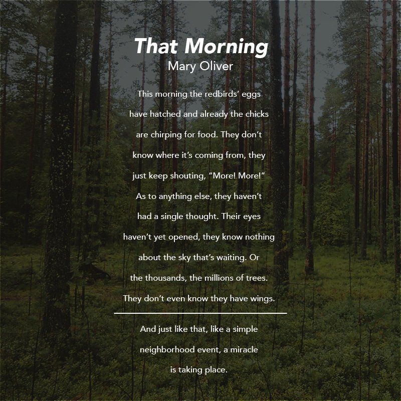 "That Morning" by Mary Oliver

#poem #thatmorning #maryoliver #theoldmillinn #longisland #mattituck