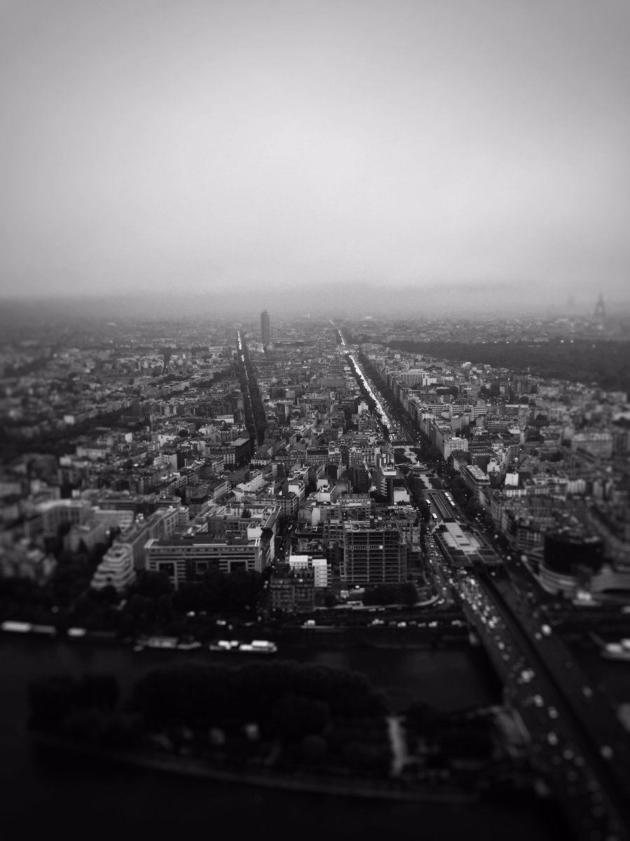 RomainARCE's tweet photo. Quand la plus belle avenue du monde se transforme en circuit des 24h du run 🐺#whyirunchampselysees #whyirunparis 
 https://t.co/SBHsgNQGtC