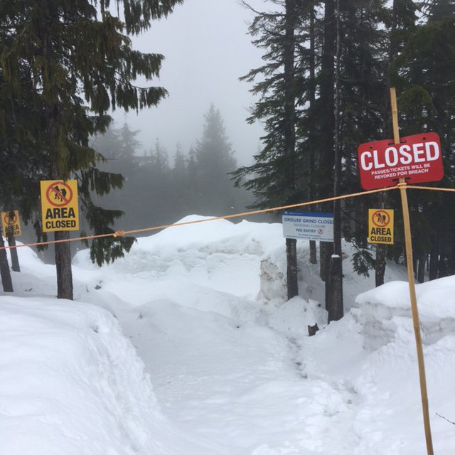 MetroVancouver's tweet photo. Thinking about hiking the #GrouseGrind this weekend? Think again. Trail closed due to icy &amp; unsafe conditions. https://t.co/FcL2Mzmmp0 https://t.co/zvnb0VbItl
