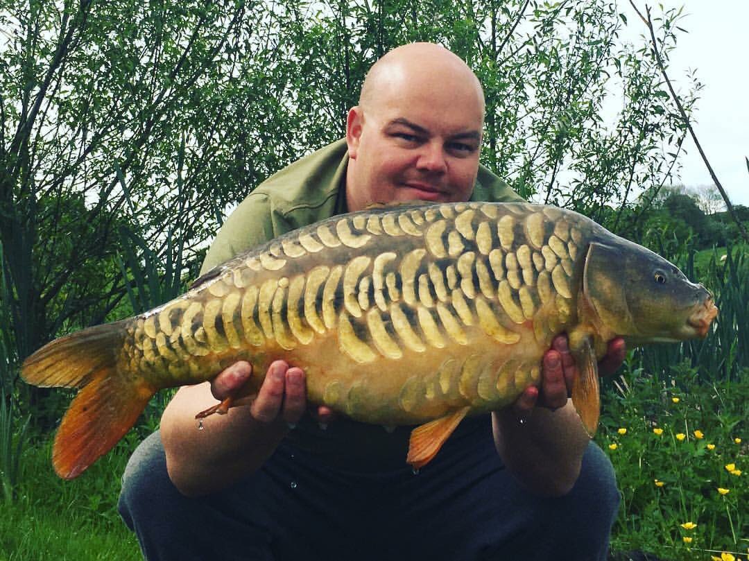 stinky_stuff's tweet image. The fish keep coming. Get on the #StinkyStuff