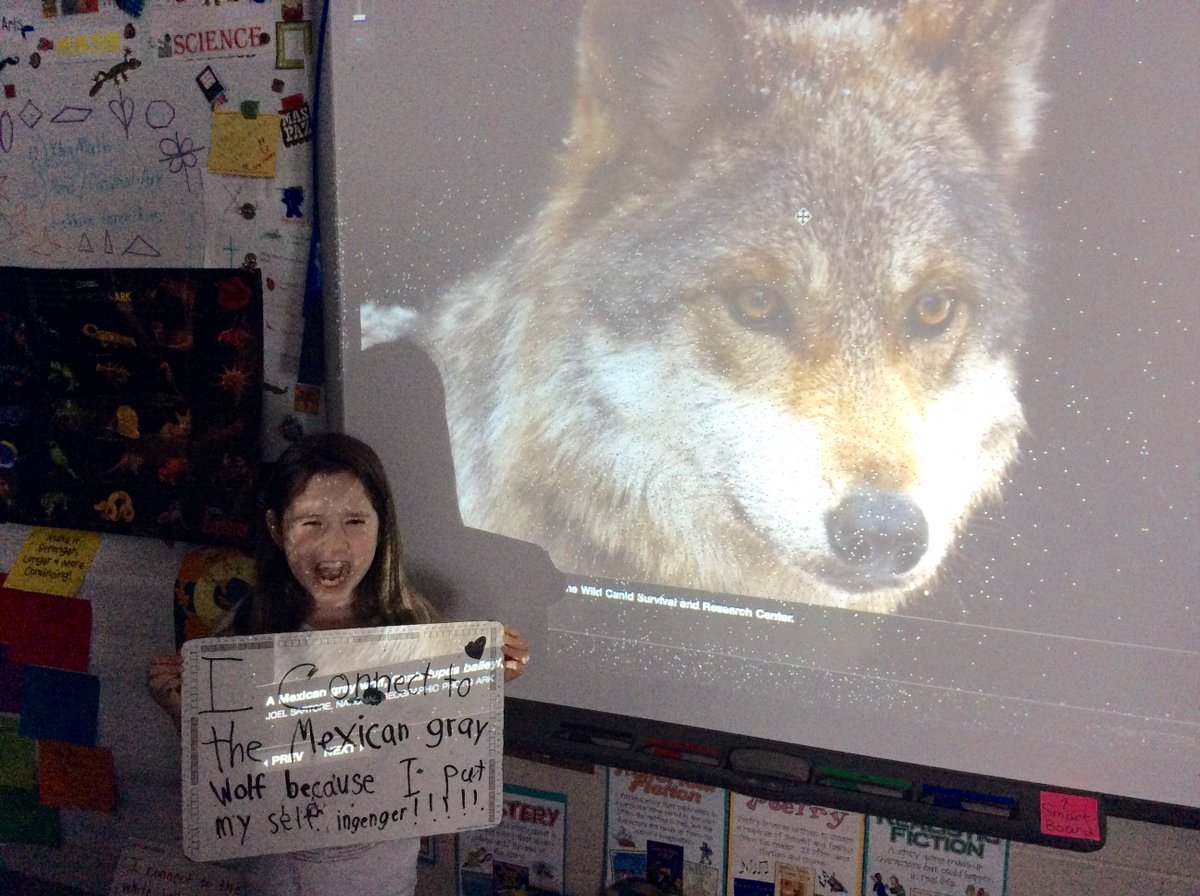MrsJBurgin's tweet photo. #SaveTogether #EndangeredSpeciesDay Sharing connections to the work of @joelsartore @NatGeo #Animal Ark - Group 1 - @APSscience #APSWrites https://t.co/1jPQScINwZ