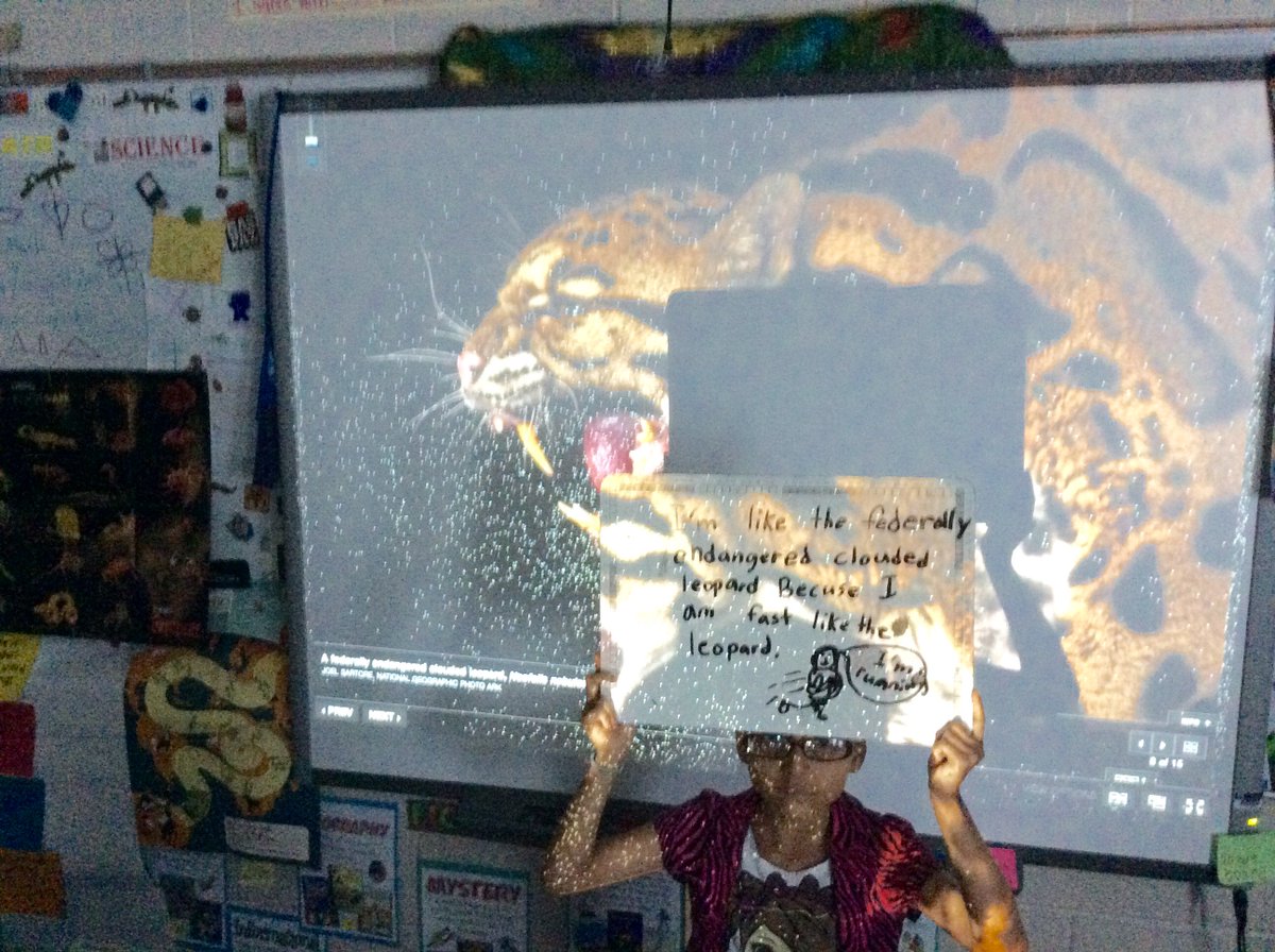 MrsJBurgin's tweet photo. #SaveTogether #EndangeredSpeciesDay Sharing connections to the work of @joelsartore @NatGeo #Animal Ark - Group 3 - @APSscience #APSWrites https://t.co/xuFmuB11Id