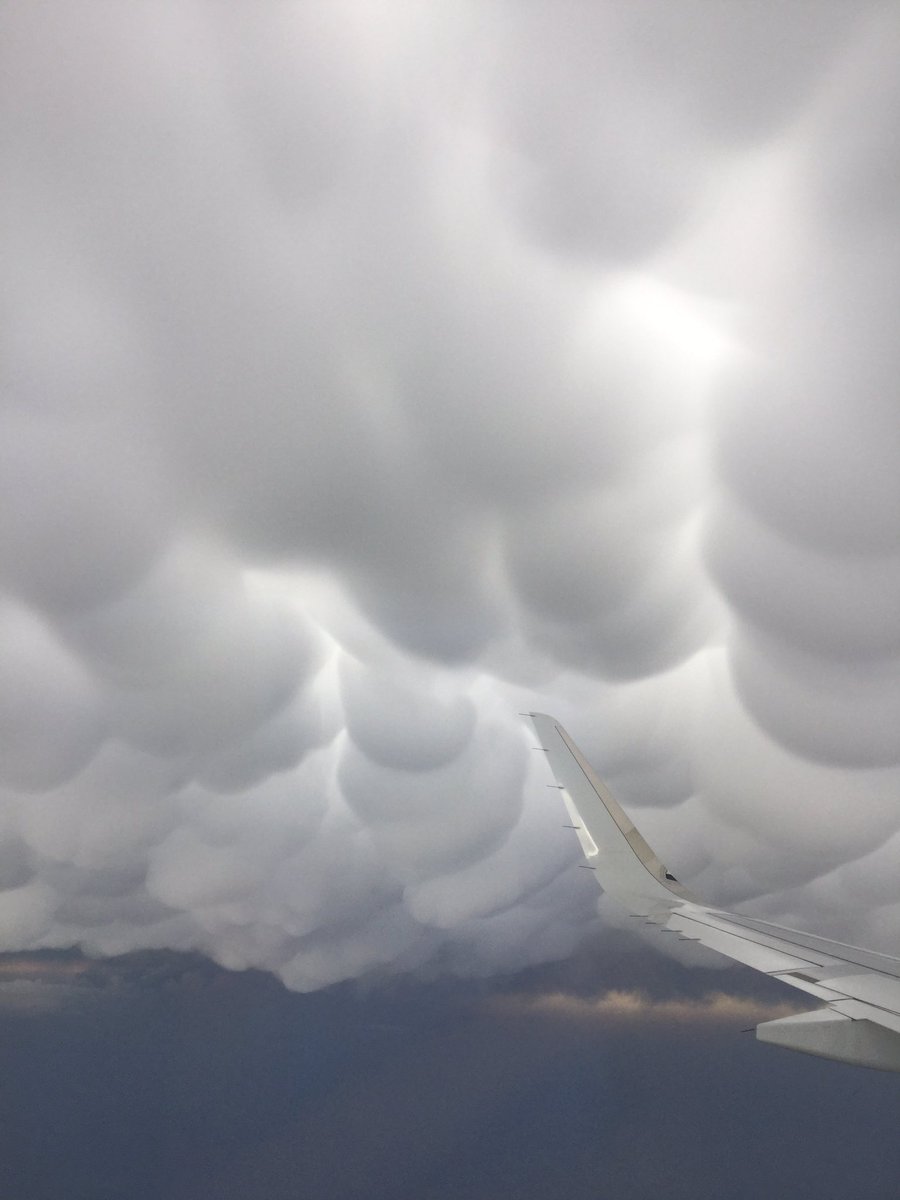 Joanne Culin tweet media